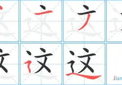米兰体育-这也行？纽卡斯尔集结日状态回暖赛前费耶诺德手感冰凉，赛前曼城强势反弹的简单介绍